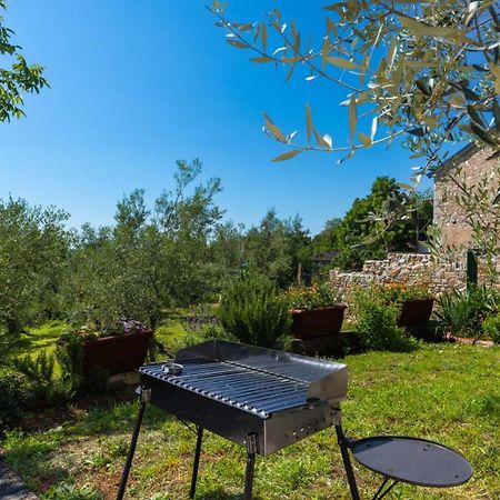 Dvi Ulike Apartment Labinci Bagian luar foto